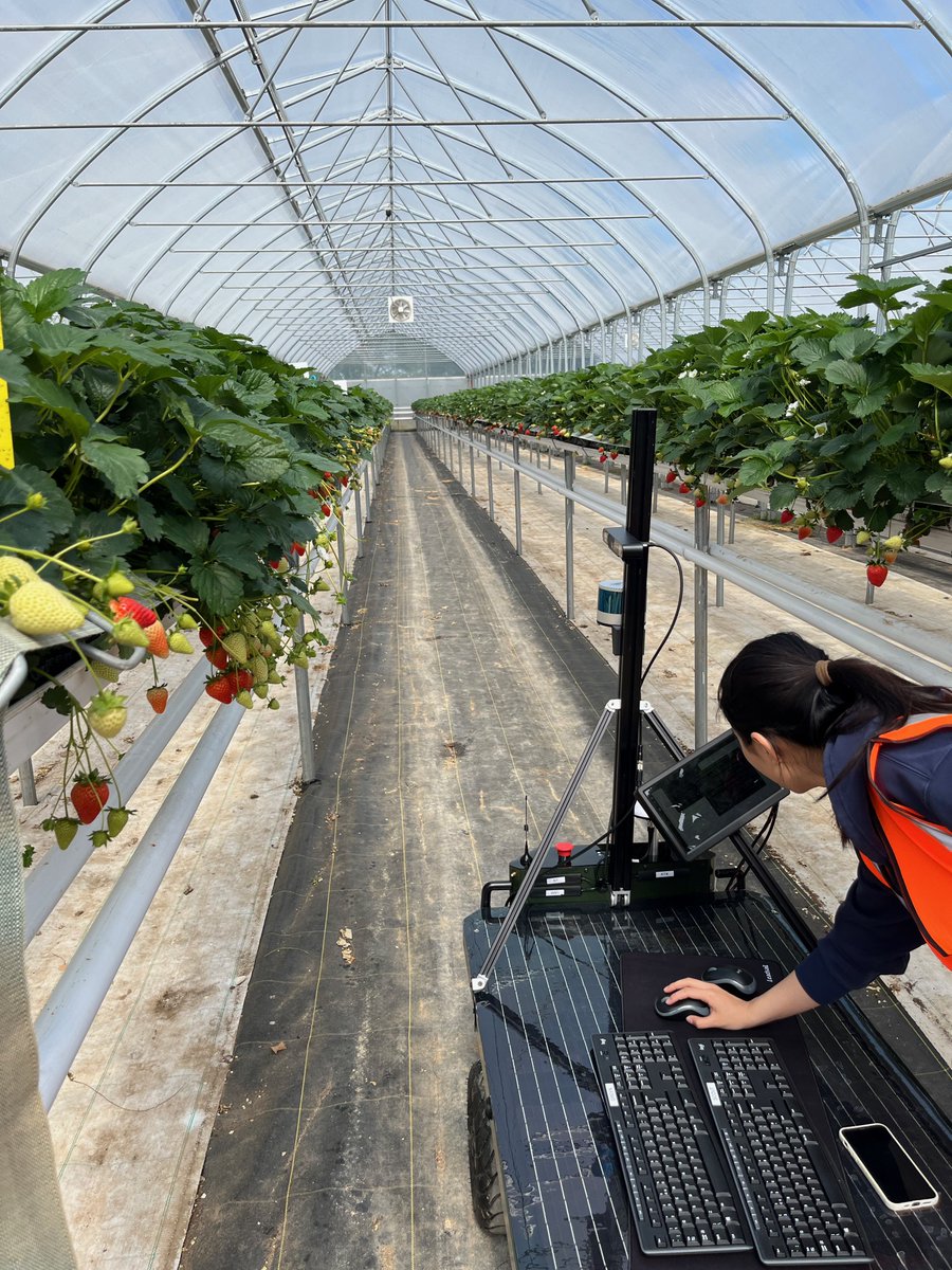 AntobotAI's tweet photo. It’s another #FarmFriday! With strawberry harvests begun, we are collecting data to deliver real-time yield from farm to phone using Insight at @PlaceLtd with @Uni_of_Essex 

Bring on British summertime and strawberries for the #Coronation! 🍓👑

#britishstrawberries #agritech https://t.co/GuJjIMbNqQ