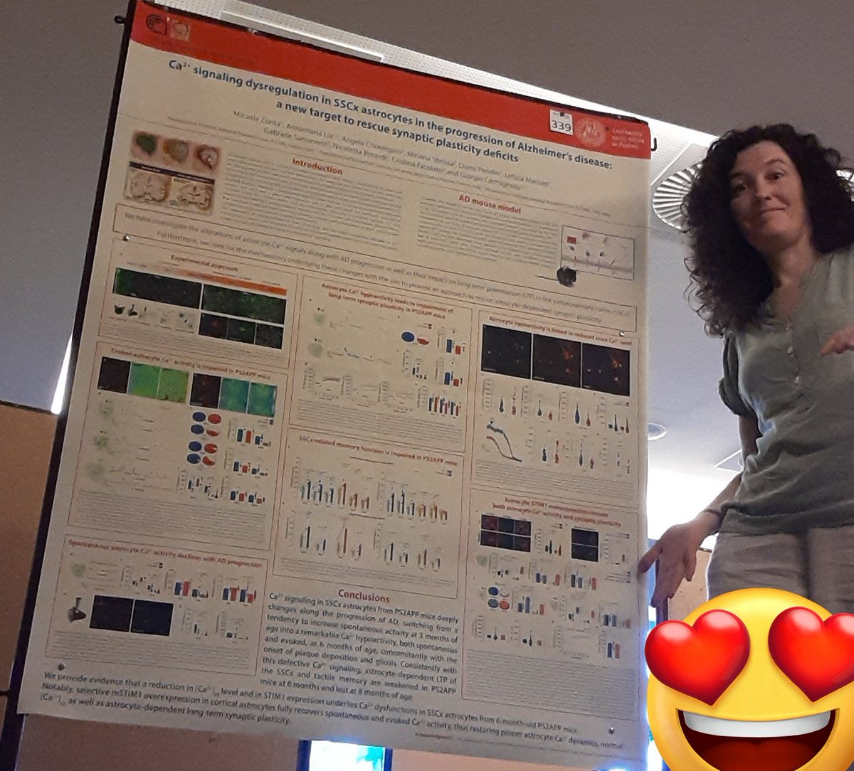 zontamicaela's tweet photo. Happy to present our last #work on #astrocytes and #Alzheimer at #FRM2023 !!! Read it at #NatComm https://t.co/OKU7onN48j https://t.co/JM1ImXq39W