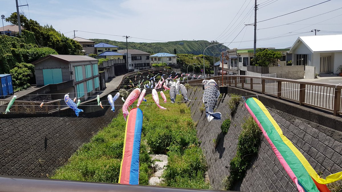 ShaneBrained tweet media