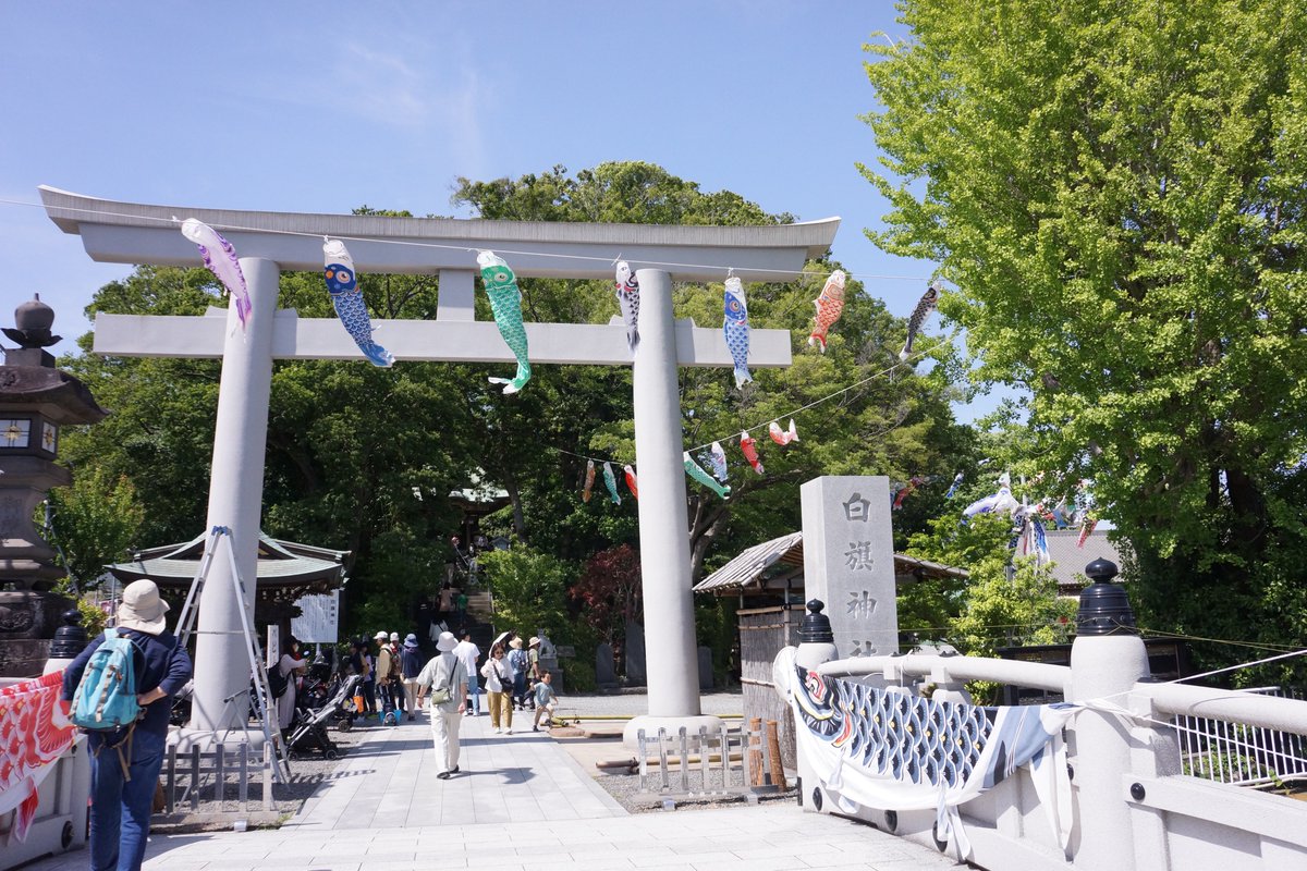 kashimu_HAMA's tweet photo. #白旗神社 は #こいのぼり が数多く泳ぎ、
子どもに日を祝う牛若まつりが行われ、
境内が賑わっていました。
#御朱印 を頂き境内を散策してきました。
#SONY #NEX_7 +SEL1855 https://t.co/WHZmXTcQRe