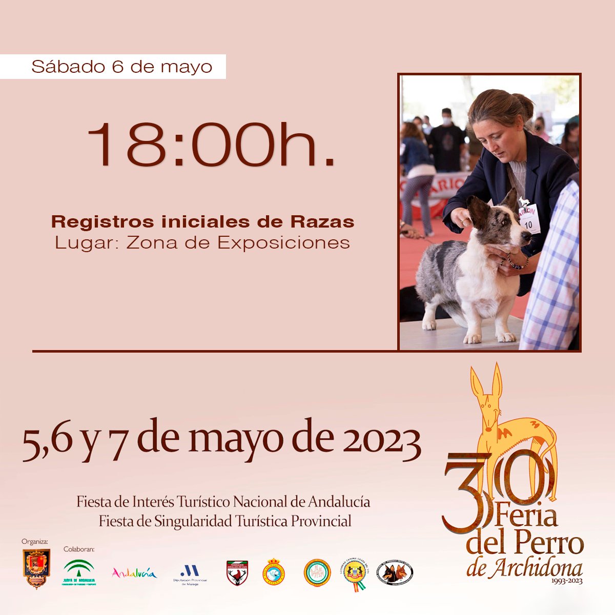 30ª #FeriadelPerro 🐕🐩 de #Archidona.

Última actividad antes de la gala nocturna en la céntrica Plaza Ochavada: registro inicial de razas en la Zona de Exposiciones.

🗓️ 5, 6 y 7 de mayo.

🔎 Consulta el programa completo: bit.ly/3VA3WZE
