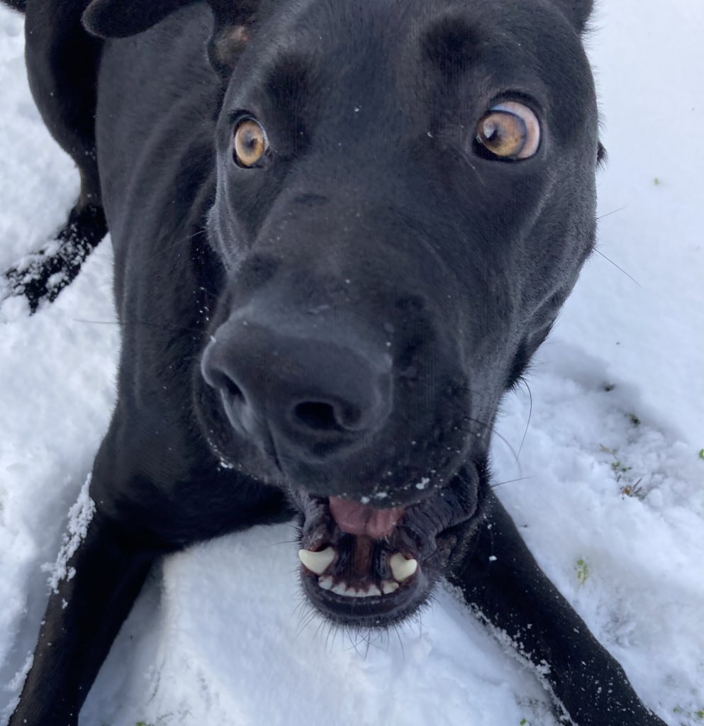 „Sie haben mir ins Gesicht gefilmt“