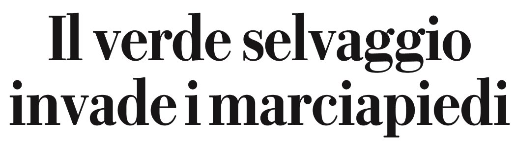 Liborio Conca tweet media