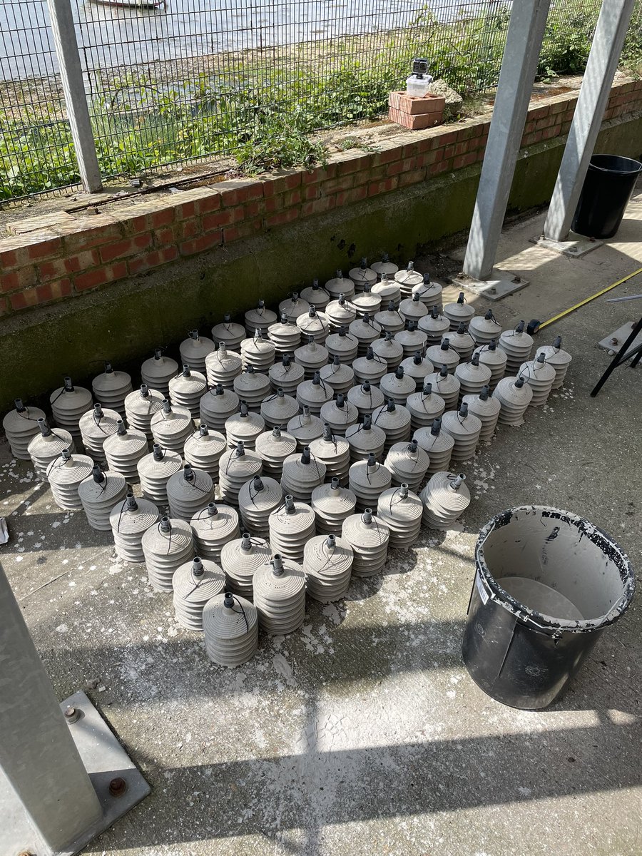 Solent Oyster Restoration Project tweet media