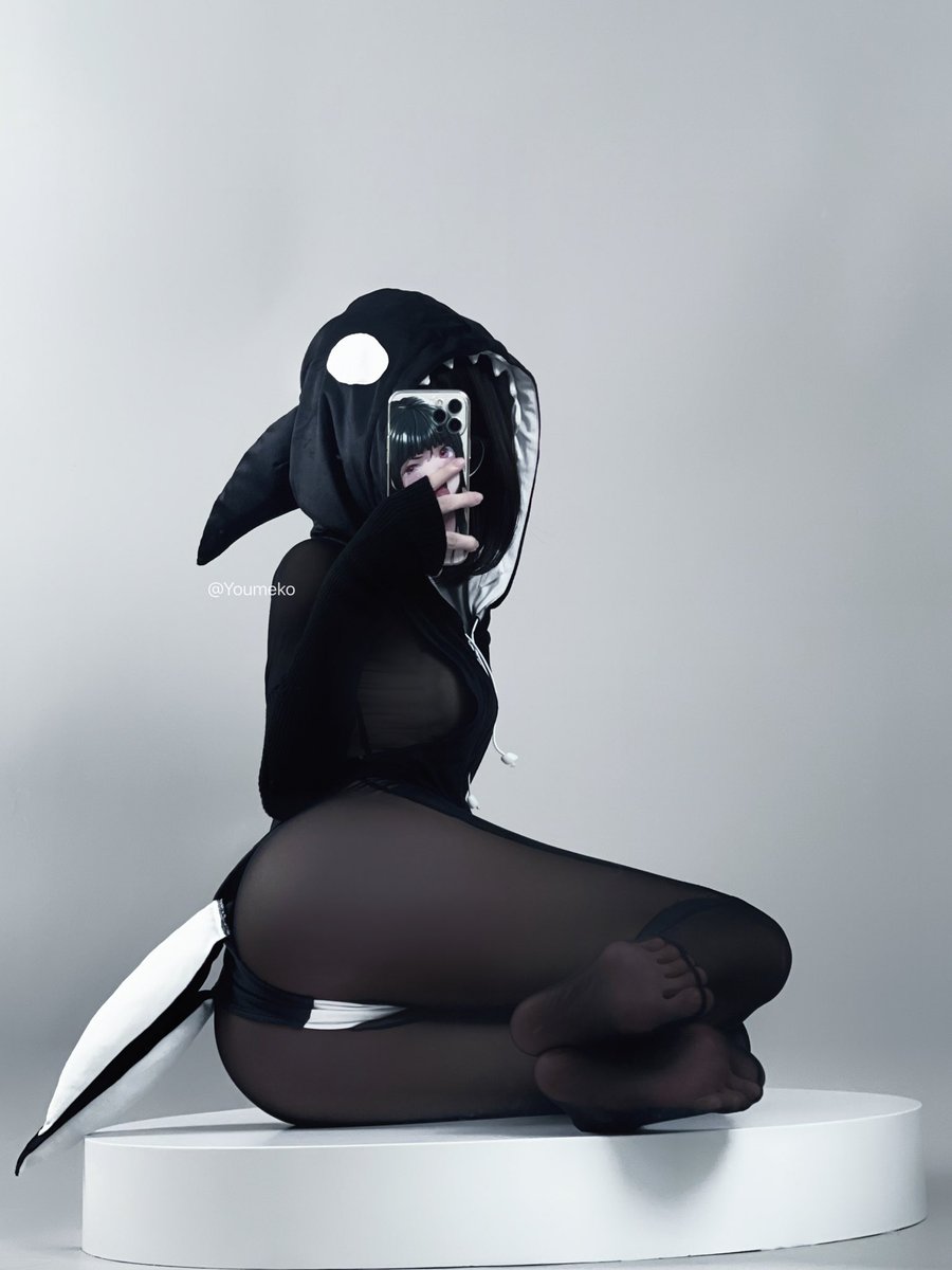 🦈 https://t.co/sP4XrNqobs
