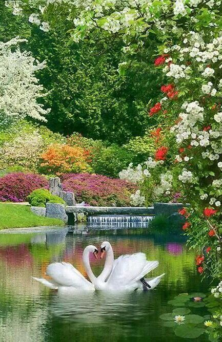Angelfire (@fireangel045) on Twitter photo Good Friday Morning PATRIOTS ☕️❤️
🔴Psalm 23: 1-3
The Lord is my shepherd; I shall not want.
He maketh me to lie down in green pastures: he leadeth me beside the still waters.
He restoreth my soul: he leadeth me in the paths of righteousness for his name's sake.
<a href="/MikeOMara/">Mike O'Mara</a> Good Friday Morning PATRIOTS ☕️❤️
🔴Psalm 23: 1-3
The Lord is my shepherd; I shall not want.
He maketh me to lie down in green pastures: he leadeth me beside the still waters.
He restoreth my soul: he leadeth me in the paths of righteousness for his name's sake.
<a href="/MikeOMara/">Mike O'Mara</a>