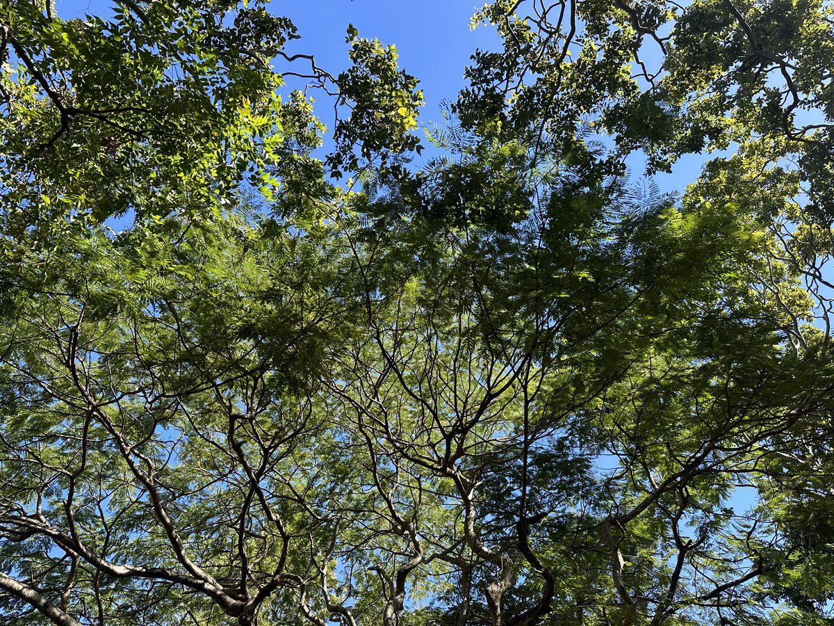 GM!! Here’s to beautiful skies and beautiful frens 🫰🏽🎶