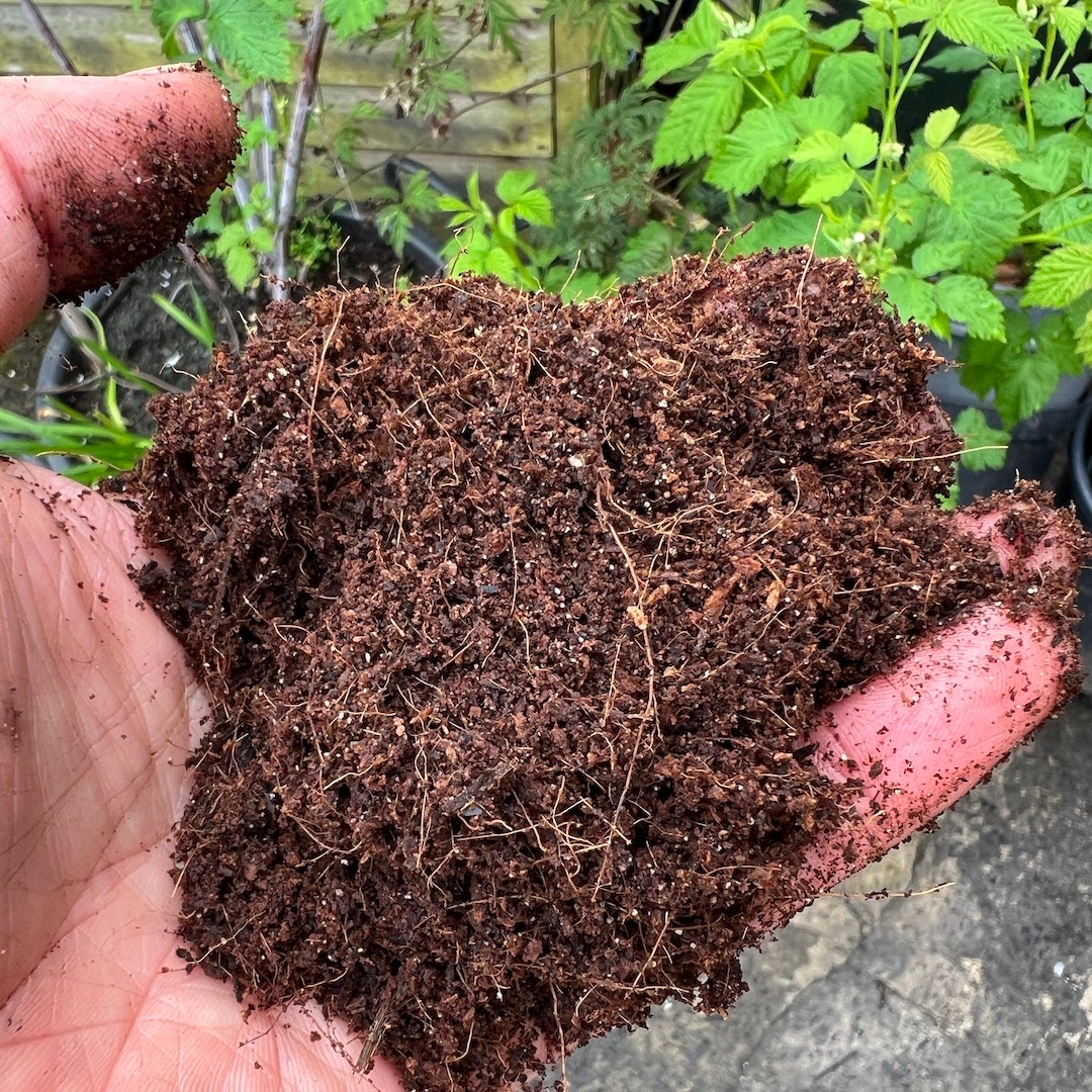 How to choose a good peat free compost for container gardening. 

Check out my new blog post here: verticalveg.org.uk/how-to-choose-…
#peatfree