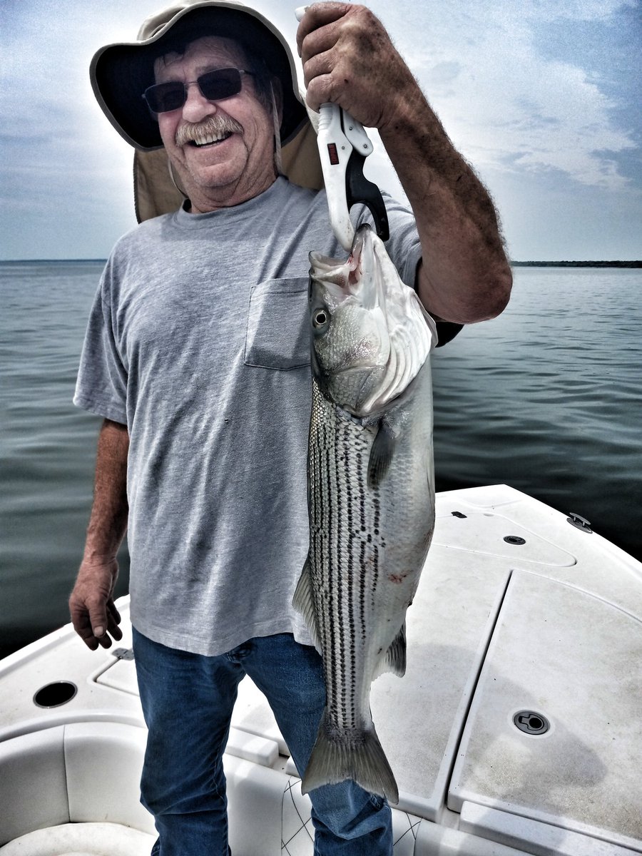 DahgMahn's tweet photo. #BigFishThursday
Three fat healthy #LakeTexoma #StripedBass yesterday. (Thursday) Come get some. https://t.co/4NOjCpB6HY https://t.co/QNNfSjhMjj