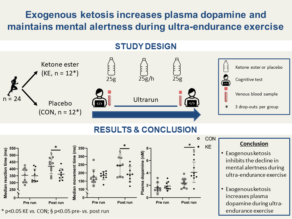 Delighted to share our new paper in <a href="/japplphysiol/">Journal of Applied Physiology</a>  showing that ketone ester intake increases circulating dopamine and maintains mental alertness during ultra-endurance exercise. A thread...
<a href="/FWOVlaanderen/">FWO</a> 
journals.physiology.org/doi/abs/10.115…