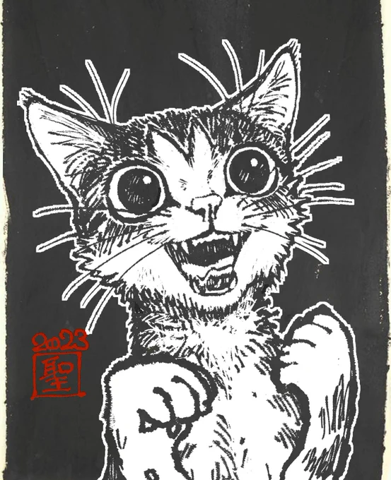 おはこんばんちは!