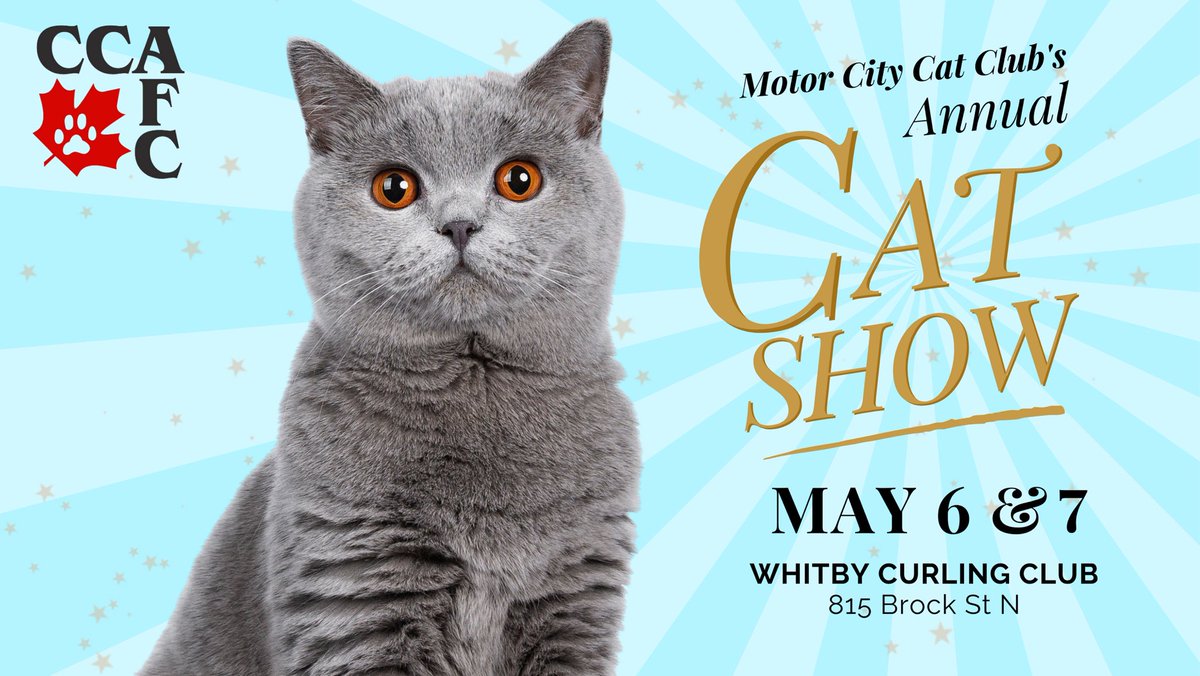 Whitby Curling Club (@whitbycurling) on Twitter photo Our feline friends come to Whitby this weekend for their Annual Cat Show. Our feline friends come to Whitby this weekend for their Annual Cat Show.