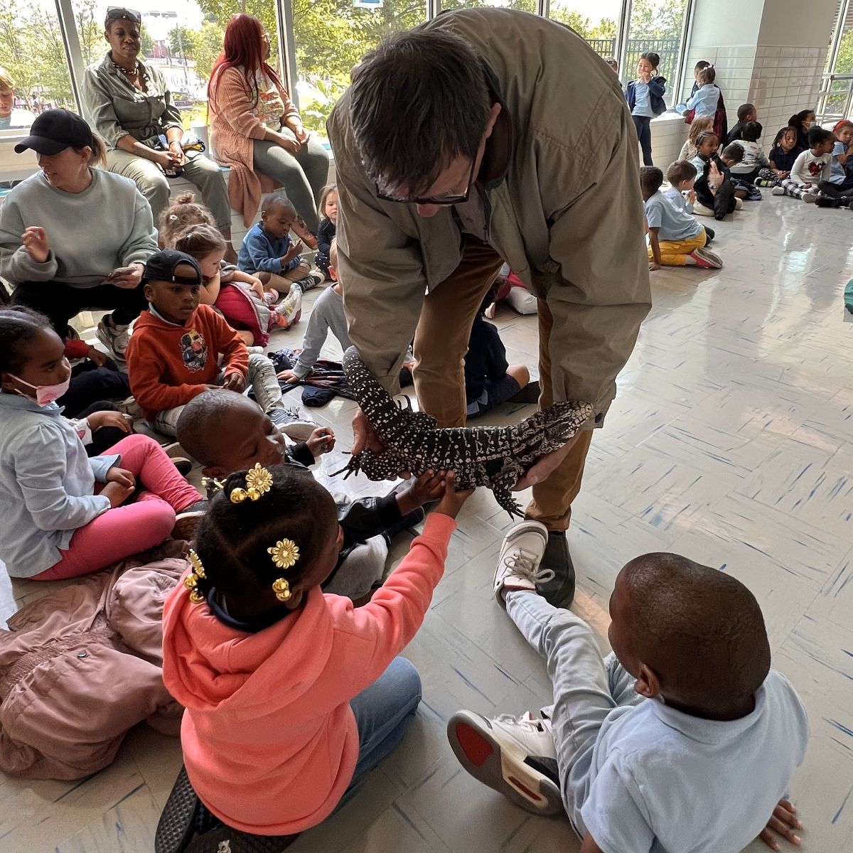 Van Ness Elementary School PTO (@vannesspto) on Twitter photo Are you brave enough to pet a giant Tegu lizard? Our littlest #AmazingOtters are! 🦦❤️🦎#AmazingOtters #AmplifyJoy <a href="/dcpublicschools/">DC Public Schools</a> Are you brave enough to pet a giant Tegu lizard? Our littlest #AmazingOtters are! 🦦❤️🦎#AmazingOtters #AmplifyJoy <a href="/dcpublicschools/">DC Public Schools</a>