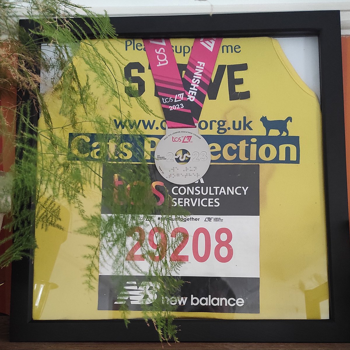 You've been framed <a href="/CatsProtection/">Cats Protection</a>