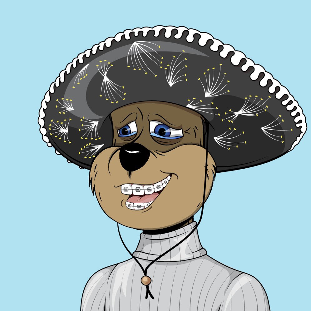 JawnnyBalboa's tweet photo. Happy Cinco de Mayo to all my Quokka peeps! #TribeUp #TribeQuokka https://t.co/JPL1Mzt0Kg