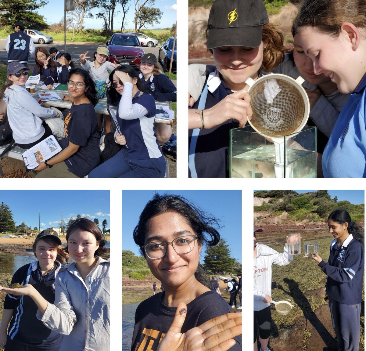 A very successful Year 12 Earth and Environmental Science excursion with AUSECO at Long Reef for students @burwoodghs