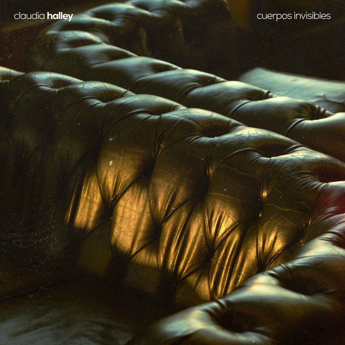 NeoMusicBox's tweet photo. Hoy es el día en el que @claudia_halley_ publica “Cuerpos invisibles”, un nuevo tema que formará parte de su próximo disco. ¡Y ha sido grabado en nuestro estudio! ❤️
Escucha “Cuerpos invisibles” aquí 👉 https://t.co/DMLOMzHGVF
#NeoMusicBox #Música #ArandadeDuero https://t.co/vHjmPUvAOP