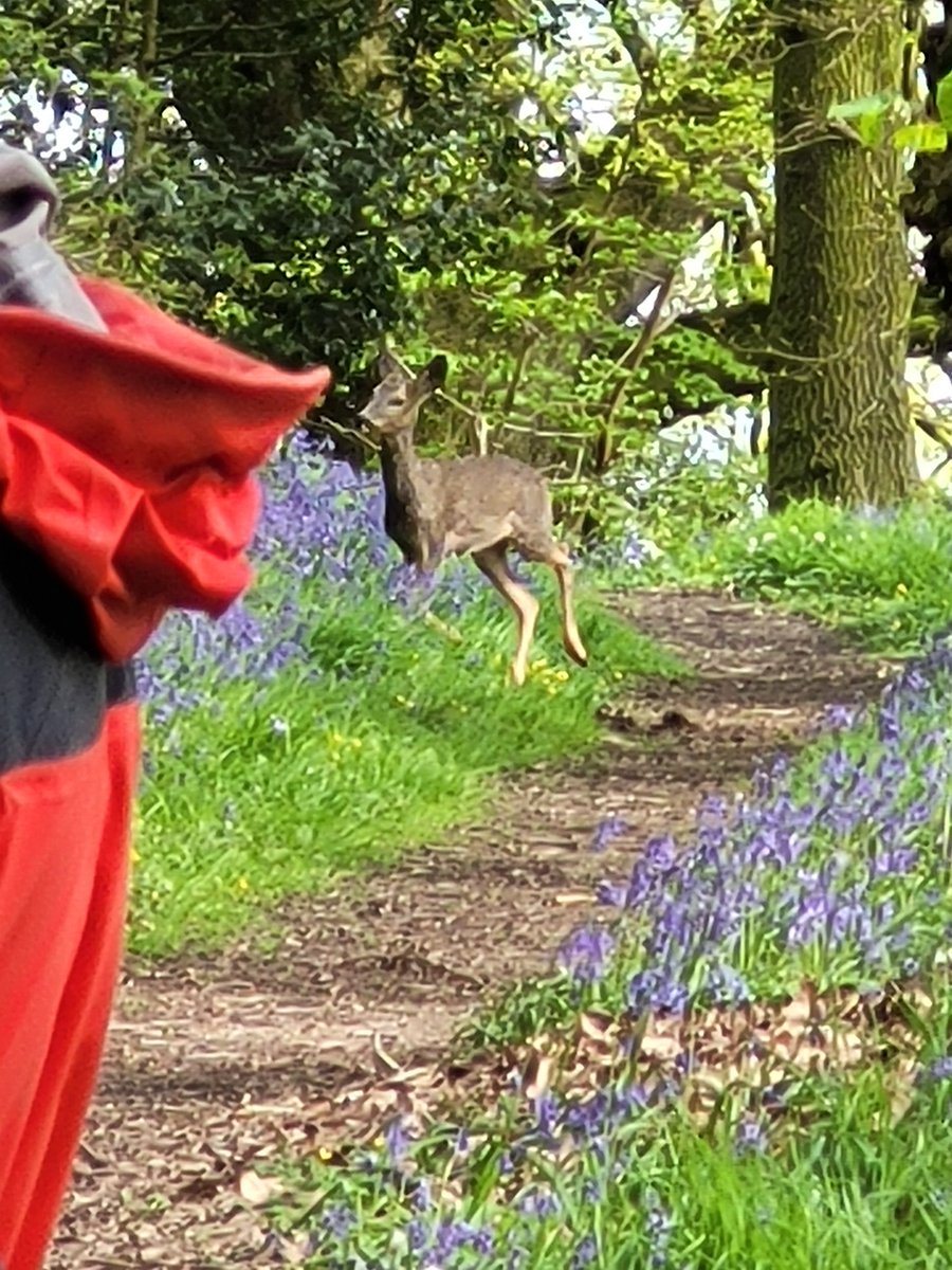 Checking out what we are up to! Stunning out and about at the moment! #deawye #adventure #FridayFeeling #weekendvibes