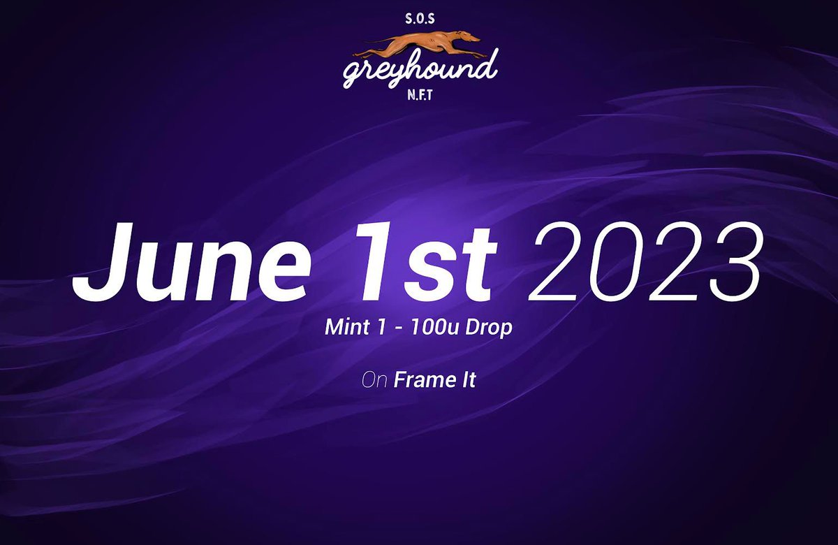 SOSgreyhound | Mint Live tweet media