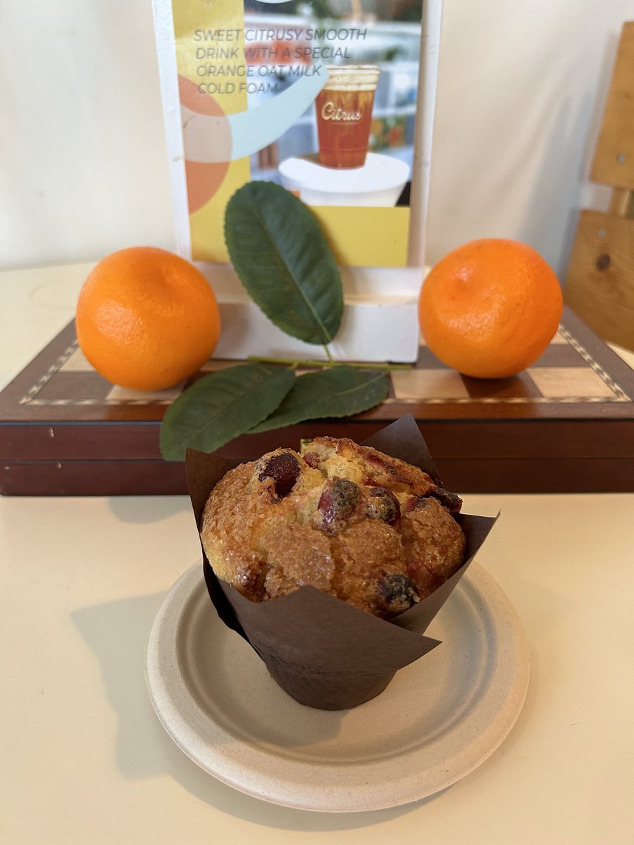 TheCitrusTower's tweet photo. Good morning ☀️🫐🍊☕️ #floridacitrustower https://t.co/4qN1sCyrbB