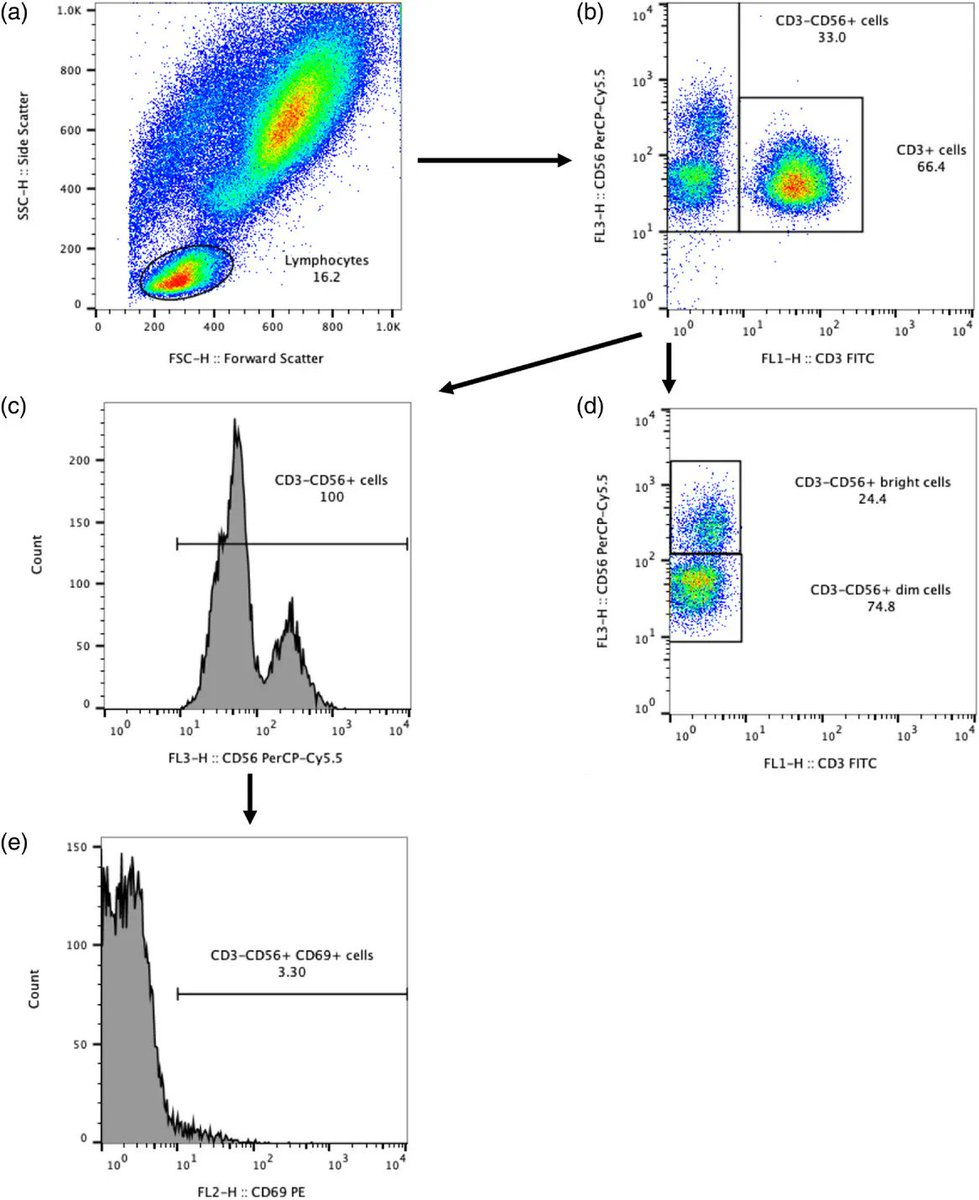ExpPhysiol's tweet photo. David Shaw (Sport, Exercise and Nutrition, @MasseyUniHealth), Lauren Keaney, @maunder_ed (@SPRINZ_AUT) and Deborah Dulson (@NclBNS) assess the natural killer cell subset count and antigen-stimulated activation after adaptation to a ketogenic diet!
📜https://t.co/aRgZjeot0b https://t.co/D7cMMnTCTn