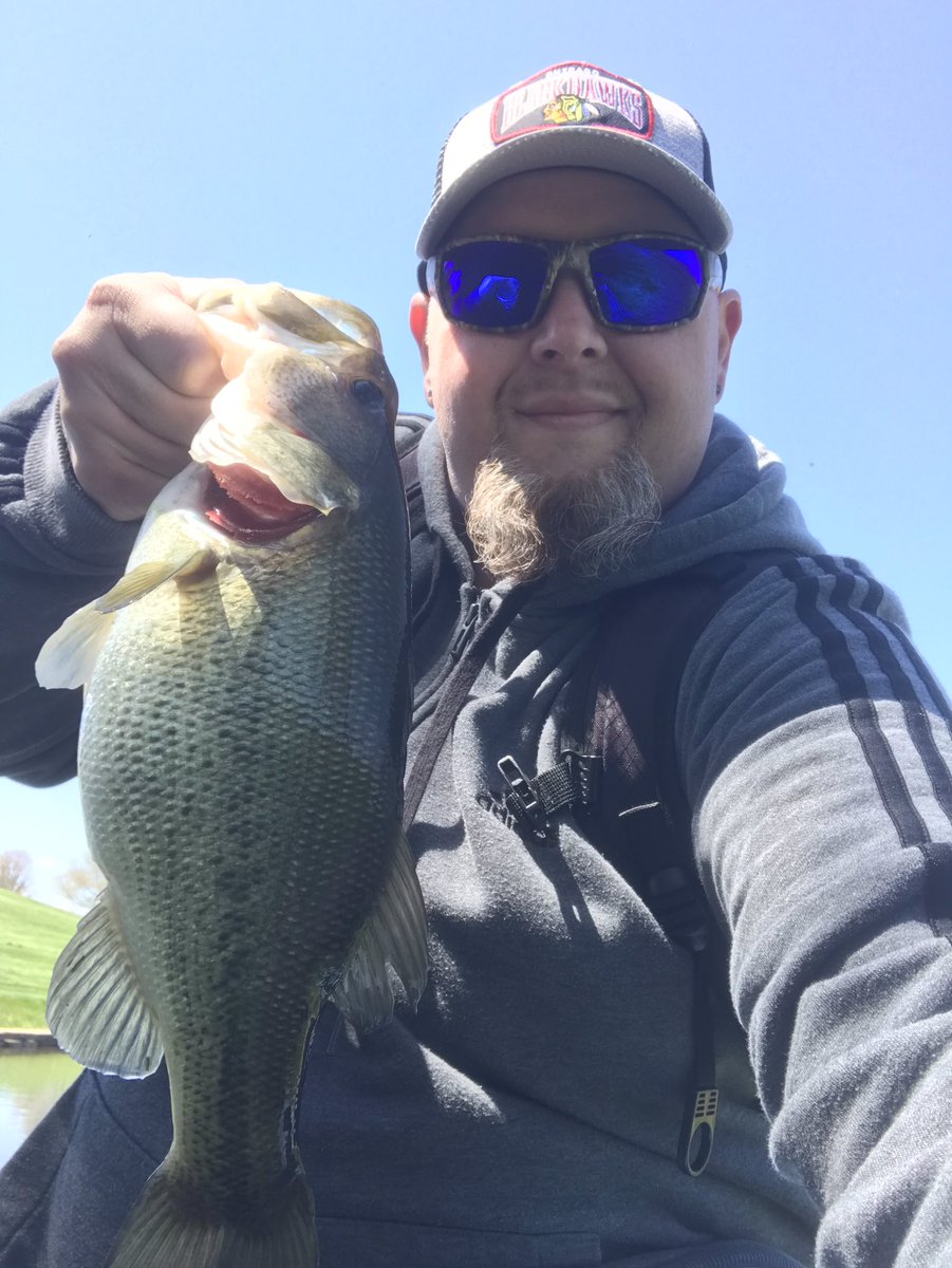 Big belly 😮 #fishing #bassfishing #bassman #catchandrelease #fridaymotivation