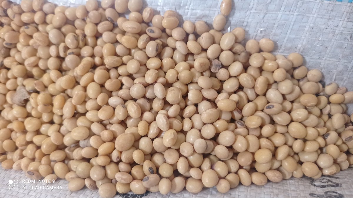 Reuben Phiri (@reubenp03572205) on Twitter photo 