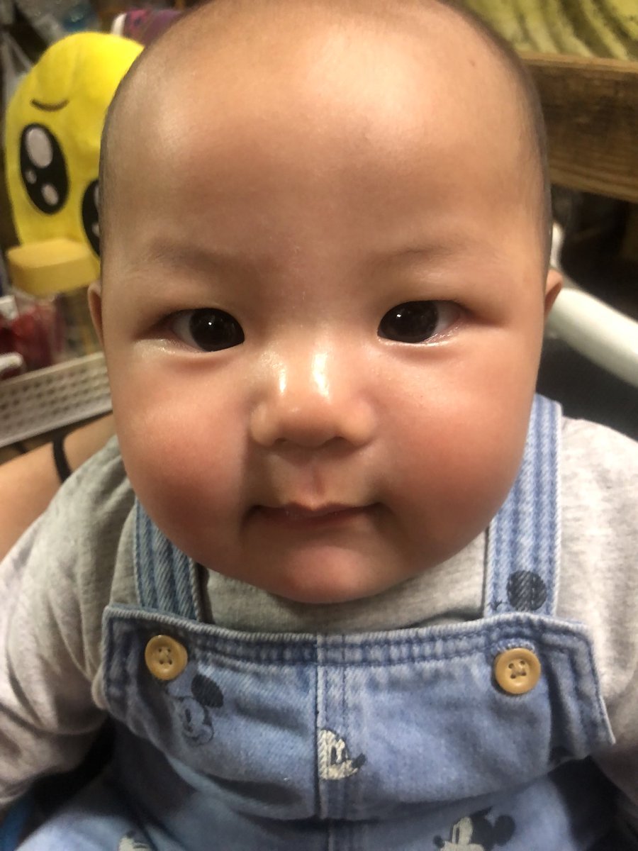 p32qbFfeazYBoMe's tweet photo. そして

今日の　ラッキー🤞

な　愛ありがとうは

まだ　4ヶ月になった

ばかりの　赤ちゃん

お菓子はあげれなかったけど

いっぱい　愛を捧いで

もらいました

お　お　氣　に
いやで

大阪　ツヨシ

名前は　なんと…

ソントク　君

わたし抱かせて

いただきました

かわゆす　食べたい

苦笑 https://t.co/lNpdMqB32x
