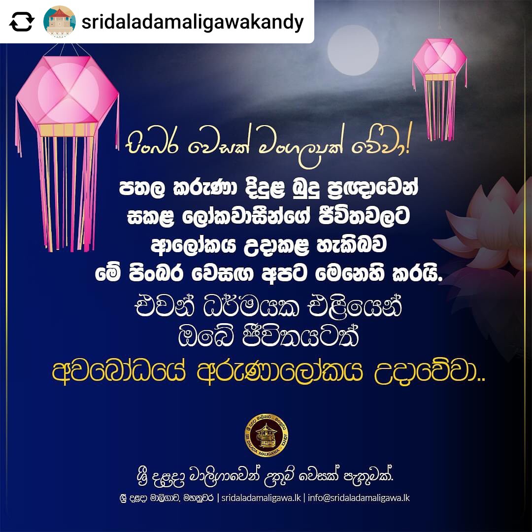 පිංබර වෙසක් මංගල්‍යක් වේවා ! 🙏🌼