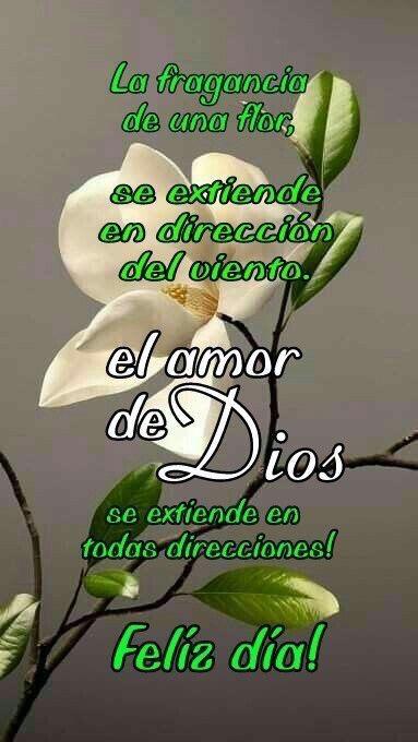 marta baquedano (@baquedano_marta) on Twitter photo 