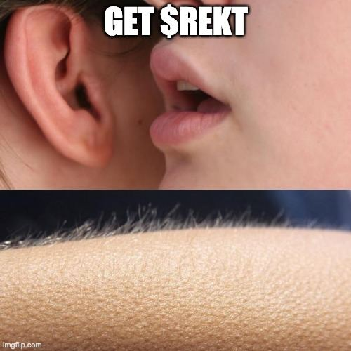 RektARB's tweet photo. $REKT https://t.co/0bQBnItZmL