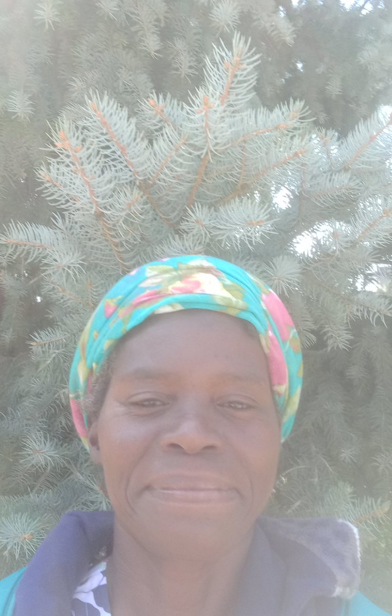 KStateHDS tweet media