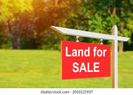 MaryMuinde's tweet photo. Looking for a prime piece of real estate in Kiambu?#Kiambu #Primeplot https://t.co/hR6wxGKtGk
