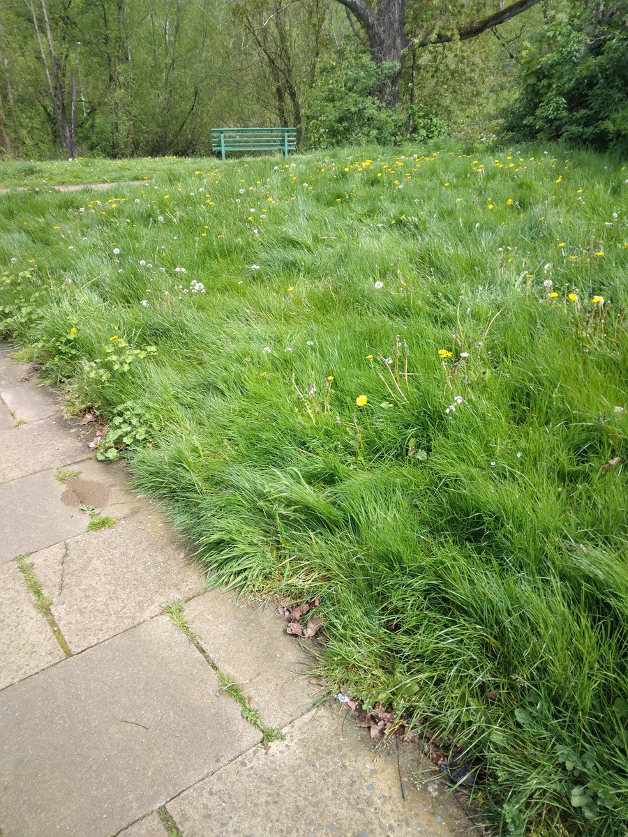 staffielover2's tweet photo. @WestNorthants is there a particular reason why the grass around Thorplands isn't being cut? Whole estate is like the picture https://t.co/xfIhlmk5z0