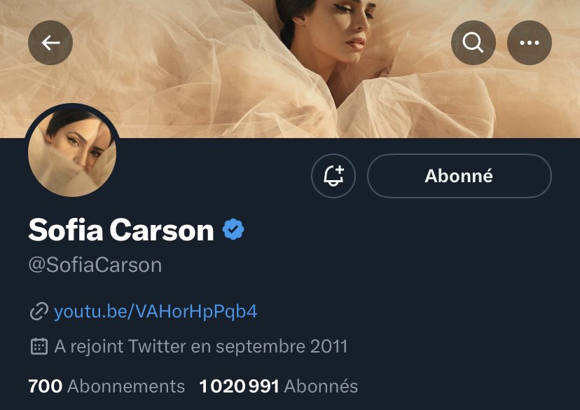 TeamCarsonBE's tweet image. Sofia is verified again 🩵