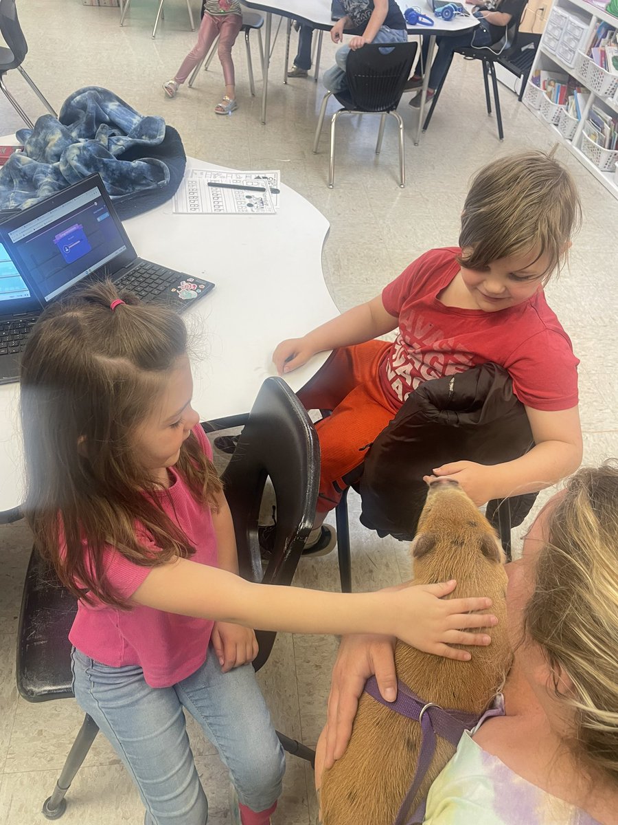 jferguson86's tweet photo. We had a special visit today from Poppy, the baby pig! @All_in_LC @BlaineElem https://t.co/4158X3AhY4