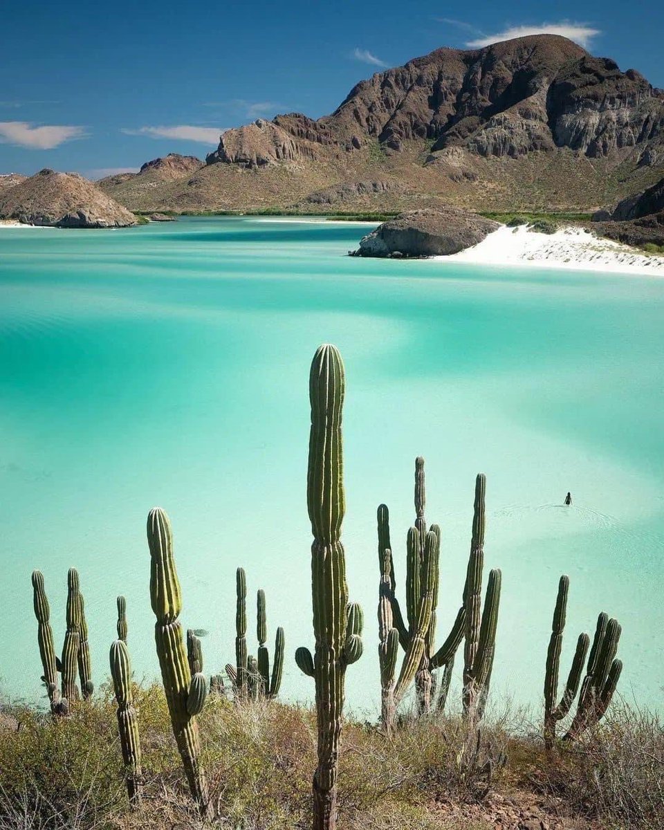 offertaviajes's tweet photo. Playa Balandra, BCS🇲🇽#siempreoffertas https://t.co/nIXEGWscgd