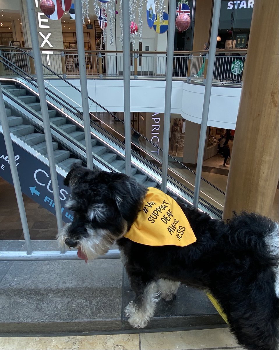 Jenn Houghton tweet media