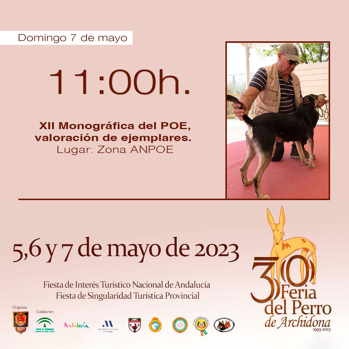 FeriadelPerro's tweet photo. 30ª #FeriadelPerro 🐕🐩 de #Archidona.

Disfruta de la siguiente hora con diferentes actividades en torno al Recinto Ferial. ¡No te olvides del Concurso de Presentadores Infantiles y Juveniles!

🗓️ 5, 6 y 7 de mayo.

🔎 Consulta el programa completo: https://t.co/4Ozj3E0C80 https://t.co/wqnRelwR0S