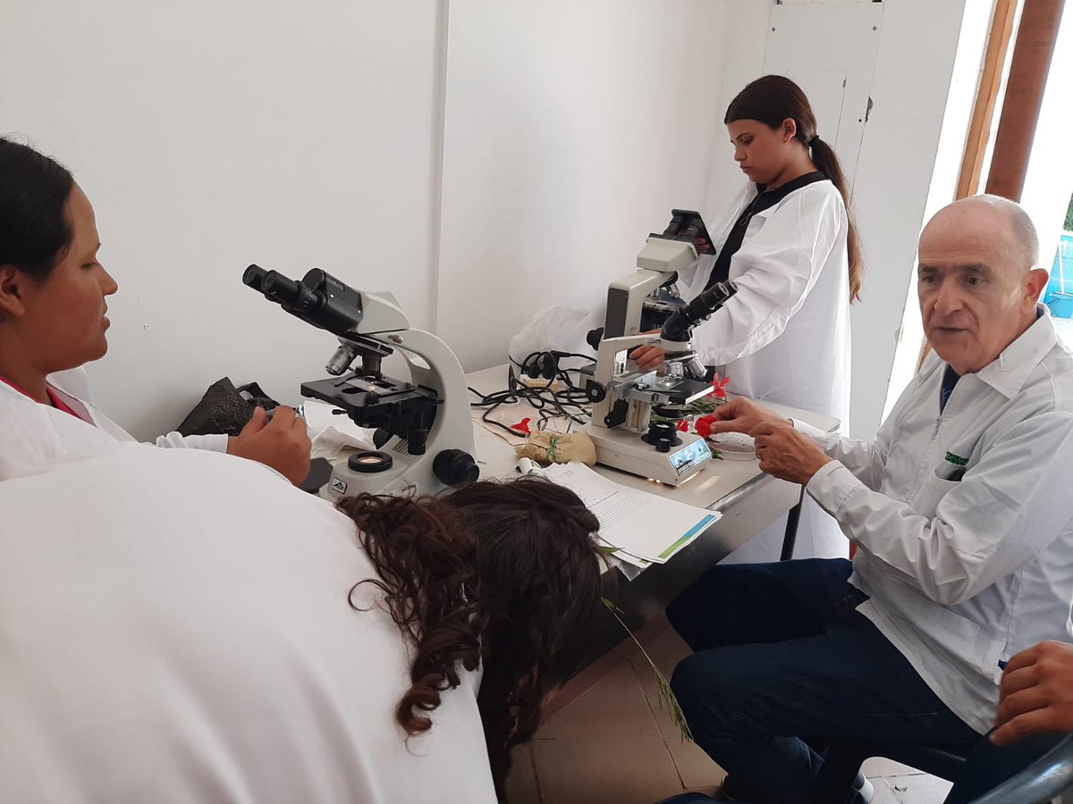 Yulian Sepúlveda Casadiego | UNAD 🇨🇴🇺🇸🇪🇺🇯🇵 (@ingyulian) on Twitter photo #FelizViernes 🎉El Centro de Innovación y Productividad de <a href="/UniversidadUNAD/">Universidad UNAD</a>, vive la vida #Académica y #Universitaria, desde la acción 🏫#Educativa,👩🔬#Investigativa,
🚀#Innovación,🧑💻#DesarrolloTecnológico y🙋#Social.
⚛️Somos @UNADEjeCafetero, somos #MásUNADMásEquidad, <a href="/JaimeLeal_/">Jaime Leal Afanador</a> #FelizViernes 🎉El Centro de Innovación y Productividad de <a href="/UniversidadUNAD/">Universidad UNAD</a>, vive la vida #Académica y #Universitaria, desde la acción 🏫#Educativa,👩🔬#Investigativa,
🚀#Innovación,🧑💻#DesarrolloTecnológico y🙋#Social.
⚛️Somos @UNADEjeCafetero, somos #MásUNADMásEquidad, <a href="/JaimeLeal_/">Jaime Leal Afanador</a>