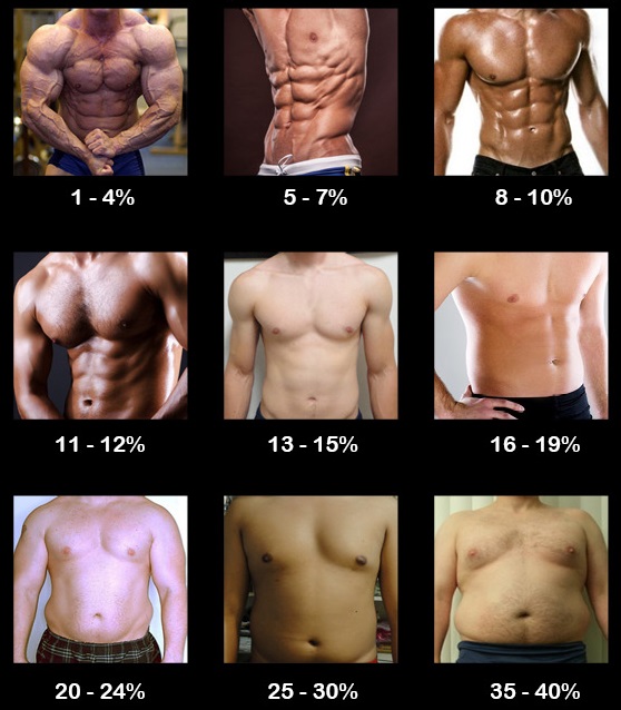Nate_D_Stone's tweet photo. 40 tips to help you maintain 10 - 15% body fat year-round.

Men if you want be your leanest, healthiest &amp; at peak testosterone read this! https://t.co/zzFjODWmpT