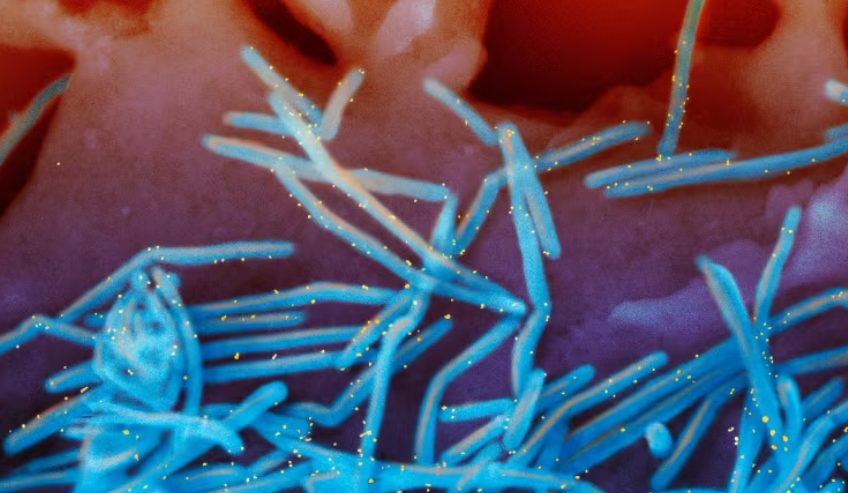 Fresh on Firday: First RSV vaccine approved in U.S. after decades of attempts mailchi.mp/hqc/fresh-on-f…