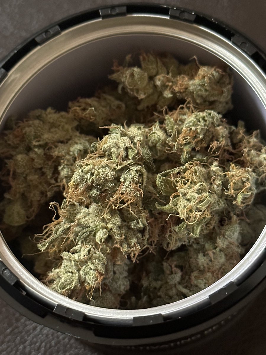 itslamilam's tweet photo. #HappyFriday to all the #FLOWER lovers
Let’s get into this Cherry 🍒 Kryptonite No. 1 🍃
Lineage: Krypto Kush x Cherry Kandahar
📷: natural light , flash, video..pick a favorite
#FlowersOnFriday #MARYJANE #Mmemberville #KushQueen✨🍃💨 #ReeferKeeper #ganja #WeedWorldUSA #herb https://t.co/yVe6RkePZR