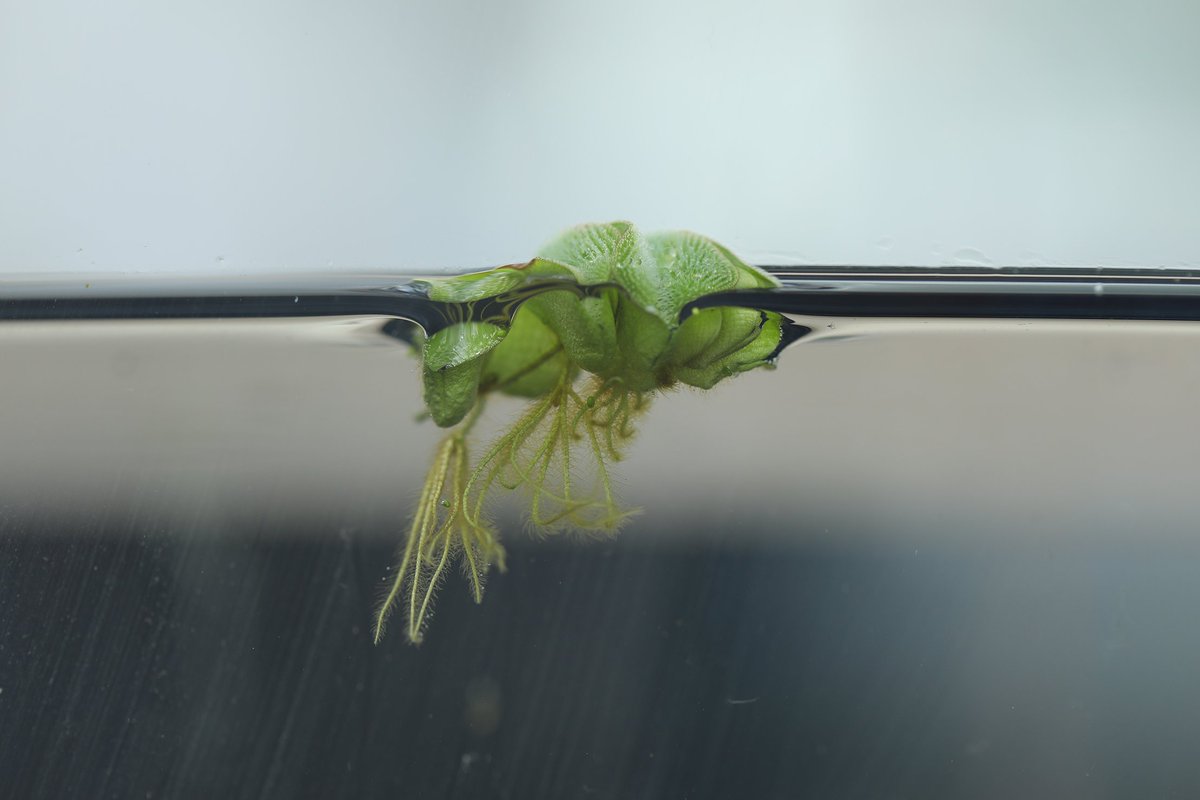 It's #FieldDayFriday, and we are giving you a sneak peek at some new updates coming soon! Here is a hint: 🌱🔎 📹