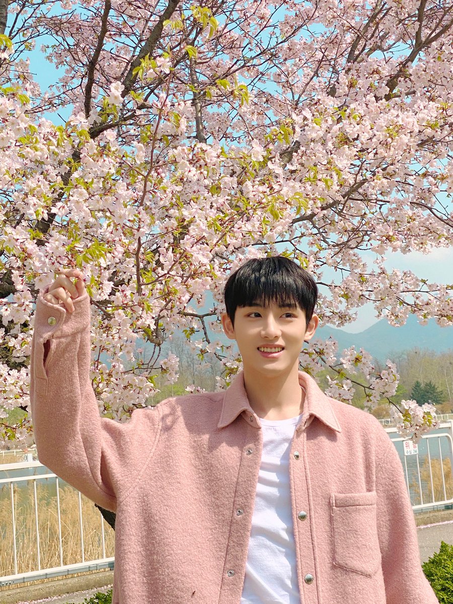ww sping picnic

cherry blossom

cr. WayV_official