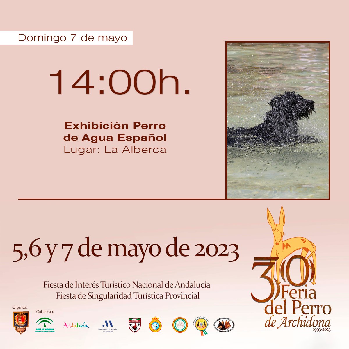 30ª #FeriadelPerro 🐕🐩 de #Archidona.

¡Última oportunidad! En unos minutos, La Alberca volverá a acoger una exhibición de Perro de Agua Español.

🗓️ 5, 6 y 7 de mayo.

🔎 feriadelperro.es