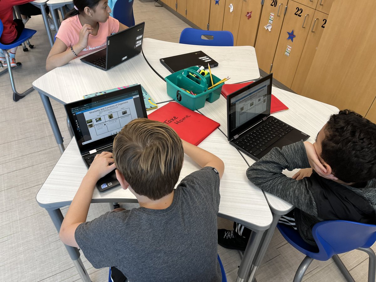 4th grade Ss reviewing animal structures and functions before jumping into wetlands research project. Awesome conversations and excitement in this room! #birdvillenest #birdvillelearns @lumiosocial