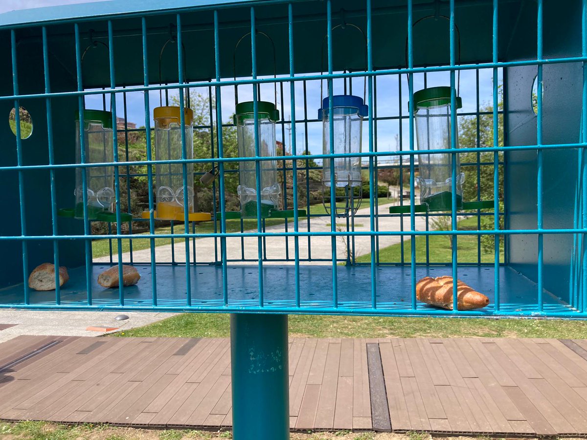 Santander Capital Natural tweet media