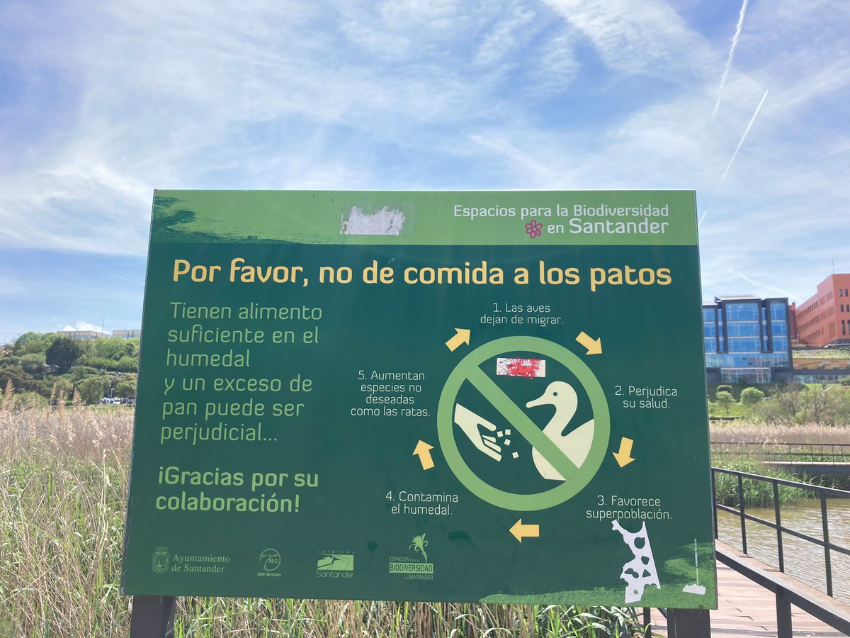 Santander Capital Natural tweet media