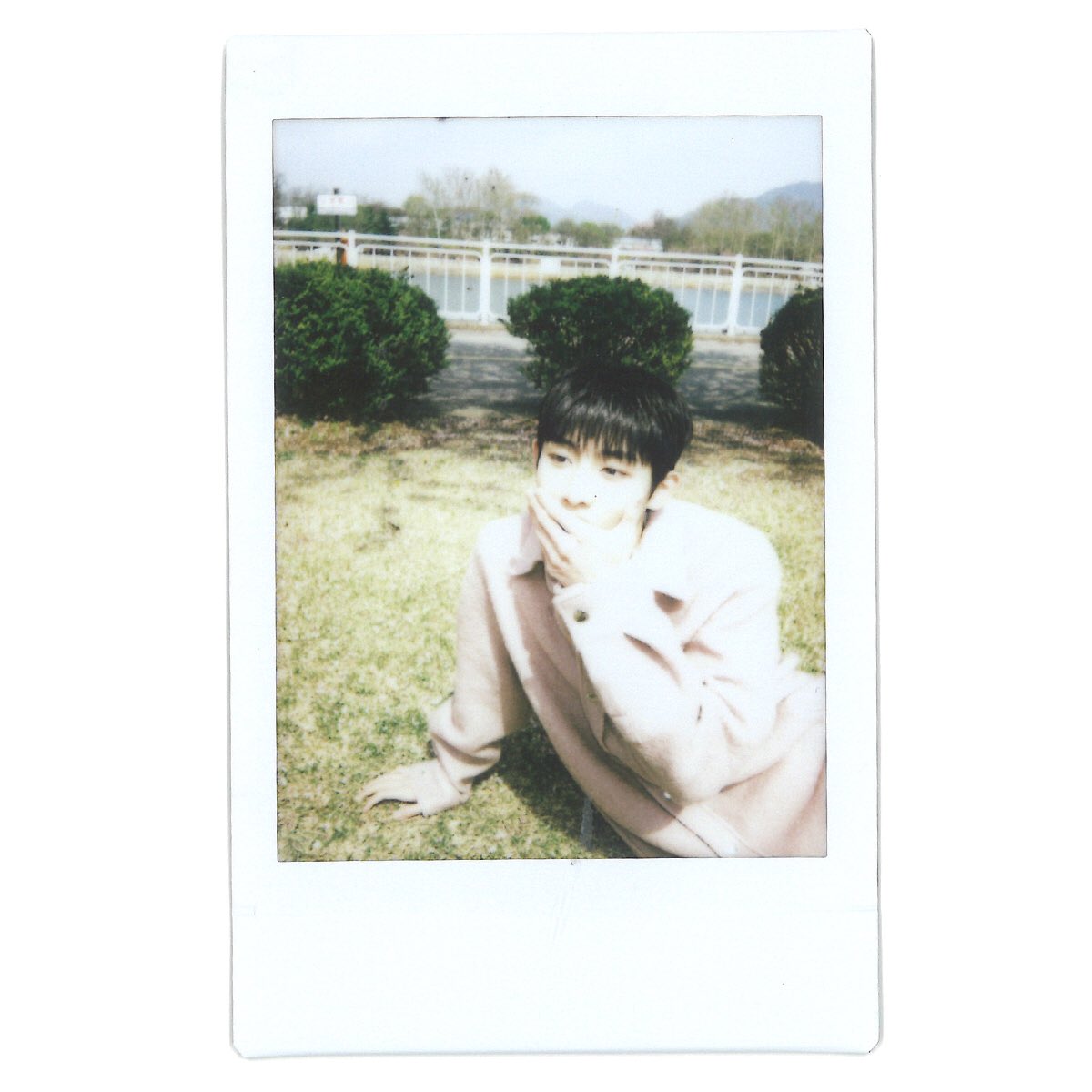 WayV_official's tweet photo. 'Cherry Blossom Boys' by Original Boys

#Spring #Picnic #春游
#WayV #WeiShenV #威神V https://t.co/Vo75UBiVmP